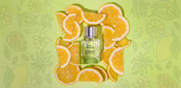 El Bosque: Autumn in a Bottle