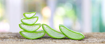 Winter's Superhero: Aloe Vera to the Rescue